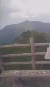 张一山顶进杨紫